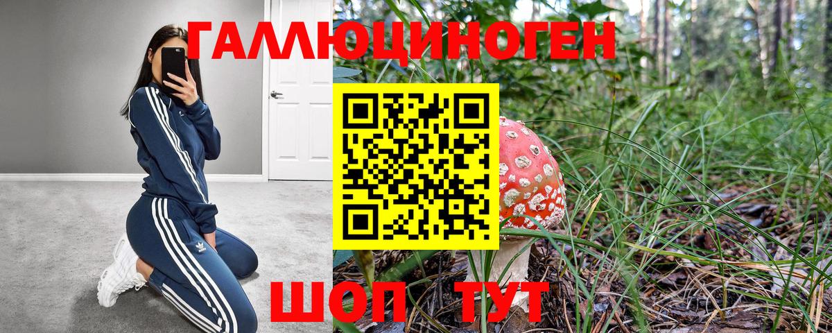 Псилоцибиновые грибы Psilocybine cubensis  Вход с VPN  Новодвинск 